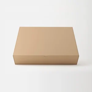 Paper Box 0.5kg
